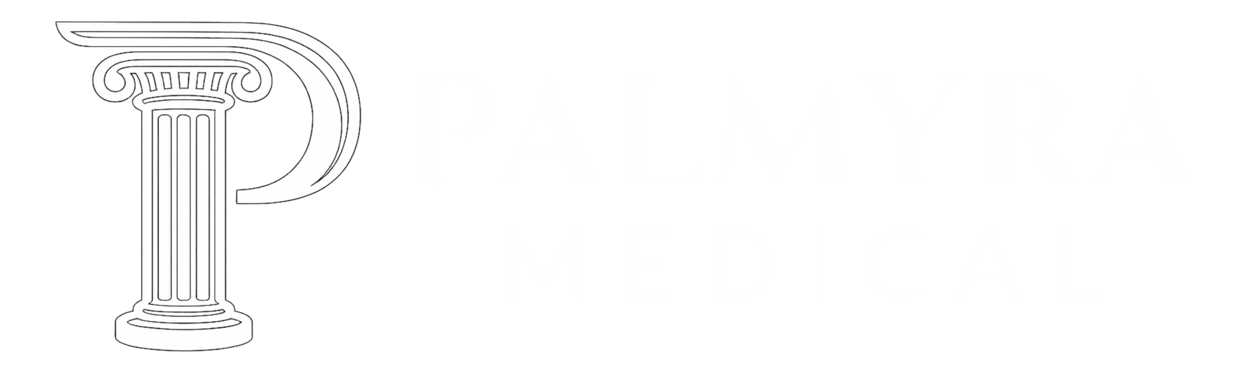 Palmyra Medical logo, link to homepage
