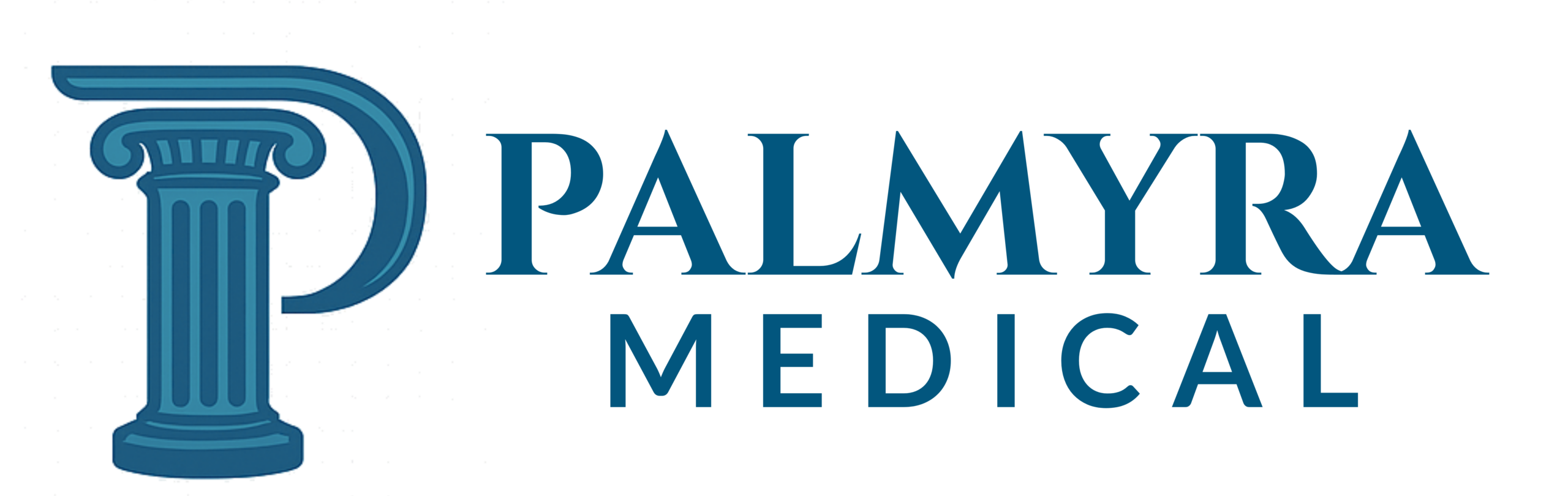 Palmyra Medical logo, link to homepage